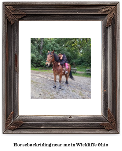 horseback riding near me in Wickliffe, Ohio